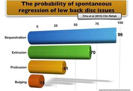 How Important are my Image Findings for Low Back Pain?