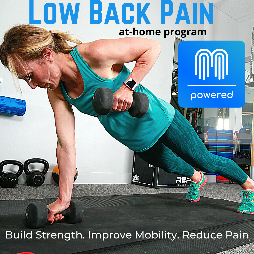 best-low-back-pain-exercises