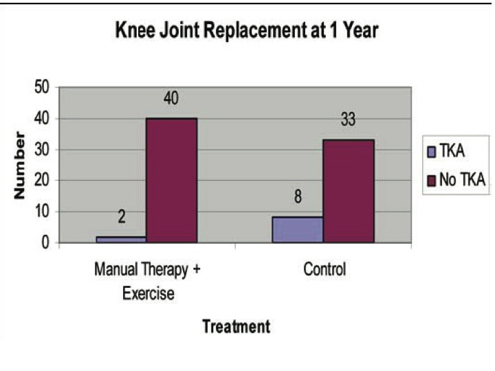 Knee Joint Replacements at One Year