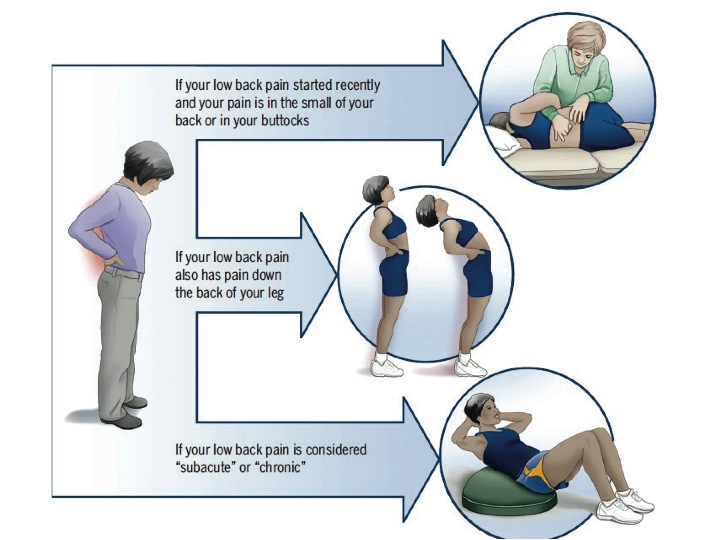 Stop low back pain: A self treatment approach