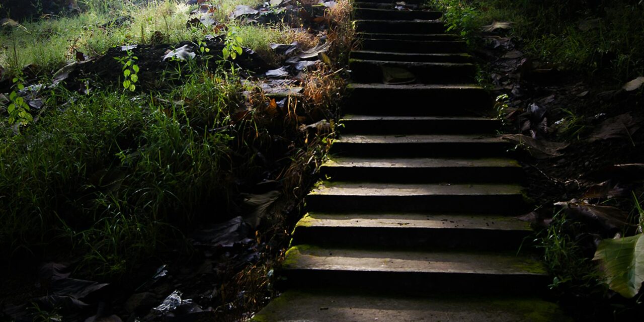 Taking The Stairs Could Extend Your Lifespan