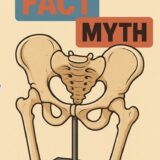 5 Common Pelvic Floor Myths — Debunked