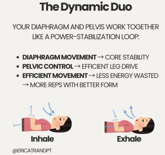 The dynamic duo of pelvic floor and diaphragm
