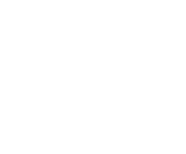 Logo White