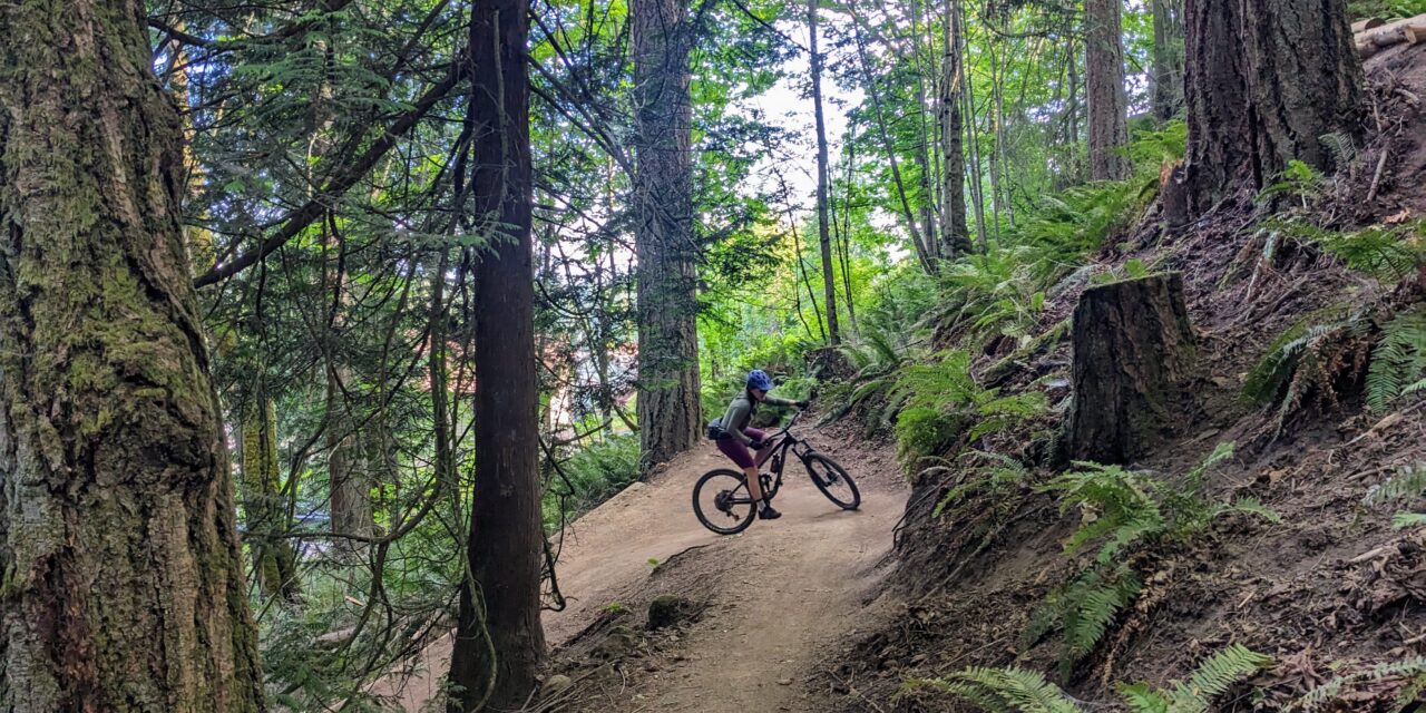 Mountain Bike Saddle Numbness: What Female Riders Should Know About Pelvic Health